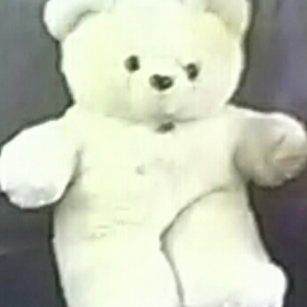 Stuffed animal